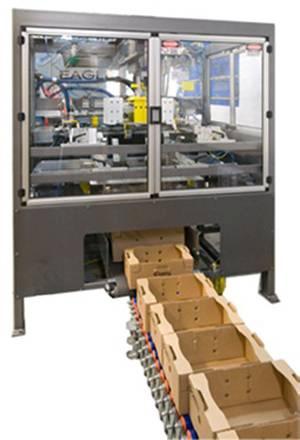 Eagle Packaging Machinery: Formadora neumática de bandejas al vacio Vassoyoair