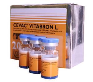 Ceva Animal Health: Vacuna Viva Liofilizada Cevac Vitabron L