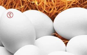 National Pasteurized Eggs Inc. huevos pasteurizados