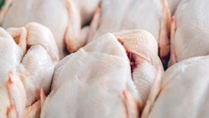 Caen en 27 por ciento las exportaciones uruguayas de pollo