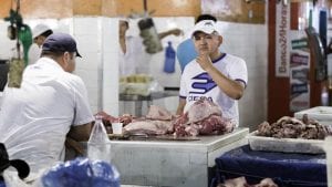 Roban 3,900 ton. de pollo, huevo y cerdo en Brasil en 2016