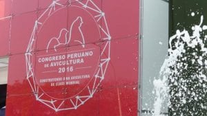 El momento de la avicultura peruana