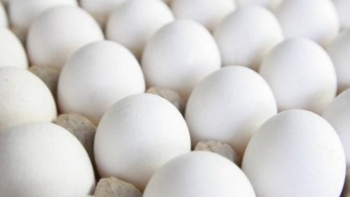 Huevos argentinos llegarán a mercado estadounidense