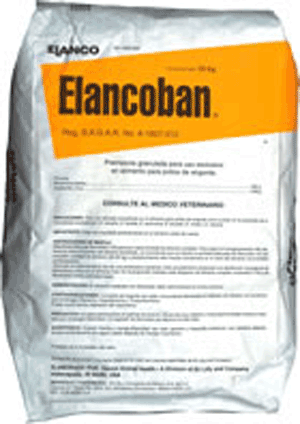 Elanco prevención de coccidiosis