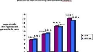 Estudios ratifican de nuevo equivalencia de metionina y análogo