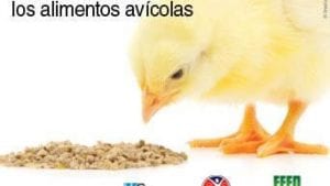 Webinario: Cómo hacer rentable la nutrición y los alimentos avícolas