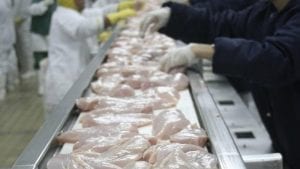 Pollo brasileño preocupa avícolas de México y Argentina