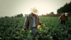 Busca México fortalecer al sector agroalimentario con nuevas normas