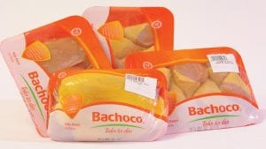 Bachoco, con mejor desempeño que brasileñas JBS o BRF