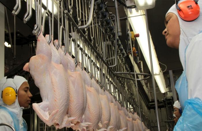 Brasil podrá exportar pollo a Indonesia el próximo año