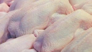 Argentina podría producir pollo procesado “larga vida”