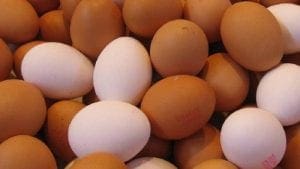 Huevos mexicanos en cáscara y líquidos llegarán a nuevos mercados