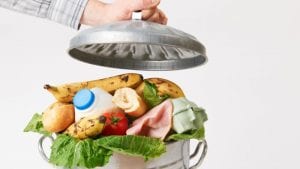 Proponen usar desechos de comida como alimentos balanceados