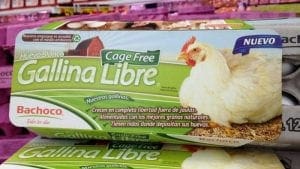 Cadena mexicana de restaurantes va por huevos cage-free