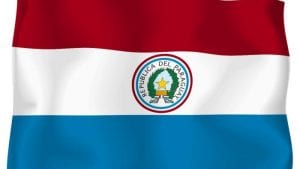 Paraguay solo exporta 5 por ciento del pollo producido