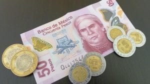 Preocupa a avicultores mexicanos devaluación del peso