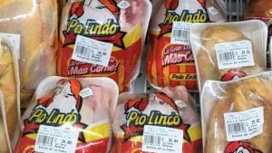 Promueven consumo formal de pollo y huevo en Colombia