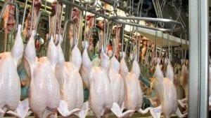 Brasil quiere recuperar exportación de pollo a México