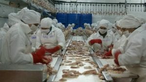 Propugnan por la comercialización responsable de pollo y huevo en Colombia