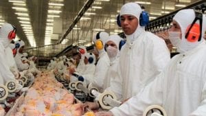 Brasil quiere ampliar exportaciones de pollo a México