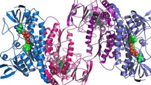 Genómica, proteómica, metabolómica y ¿salud aviar?