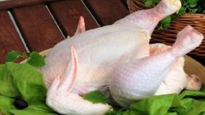 Brotes de aftosa en Colombia mejorarían ventas de pollo