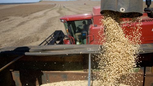 China impondrá aranceles a soya de Estados Unidos