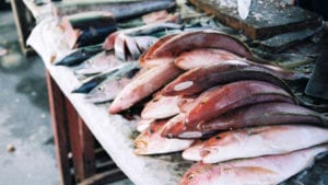 Pescado, lácteos y pollo: mayores transmisores de enfermedades