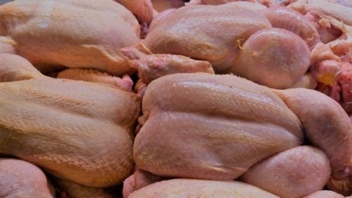 Avicultores bolivianos podrían exportar pollo a Vietnam