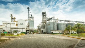 Cargill, a un aleteo de liderar sector pollo en Colombia