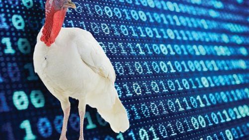 8 tecnologías digitales que alterarán la industria del pavo