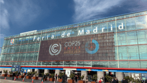 COP25 en Madrid: ¿dónde quedó la producción pecuaria?