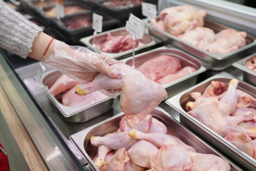 Exportación de pollo argentino será menor en 35,000 t | Industria Avícola